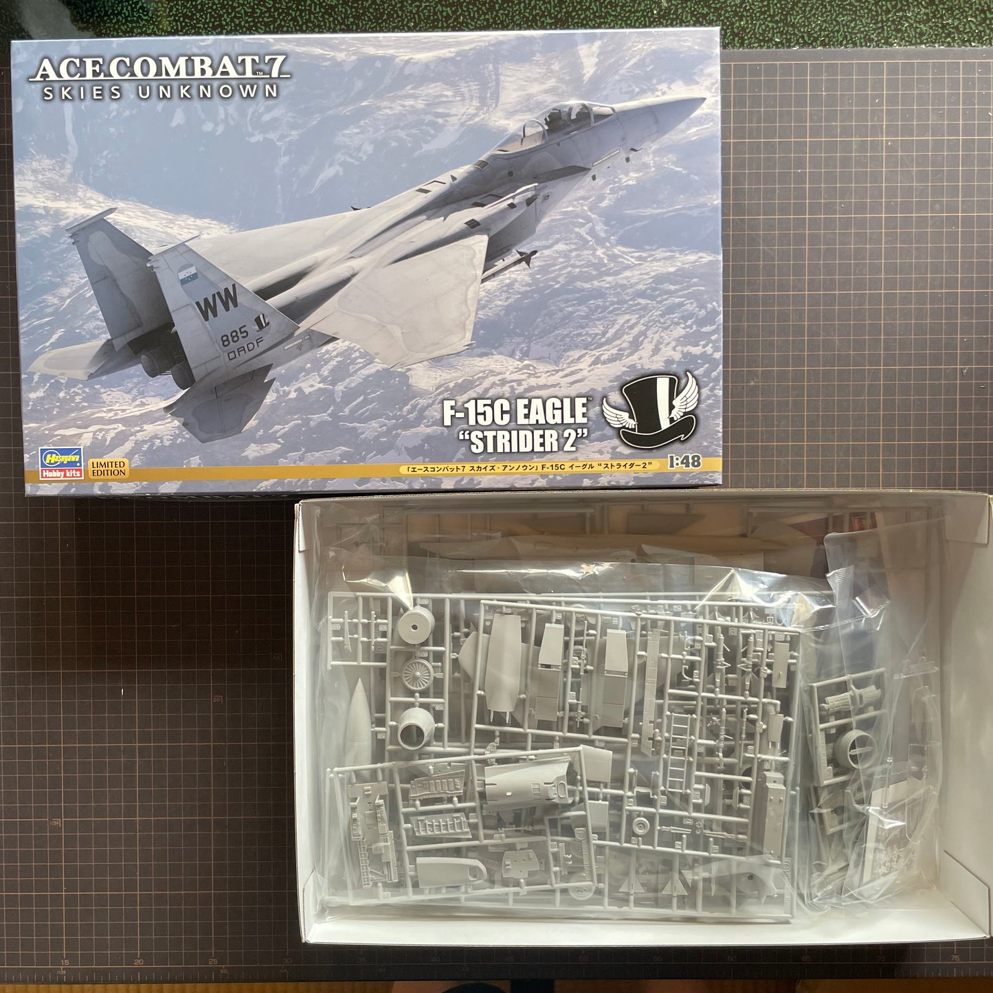 Hasegawa 1/48 ACE COMBAT 7 SKIES UNKNOWN F-15C EAGLE STRIDER 2 Model kit SP566