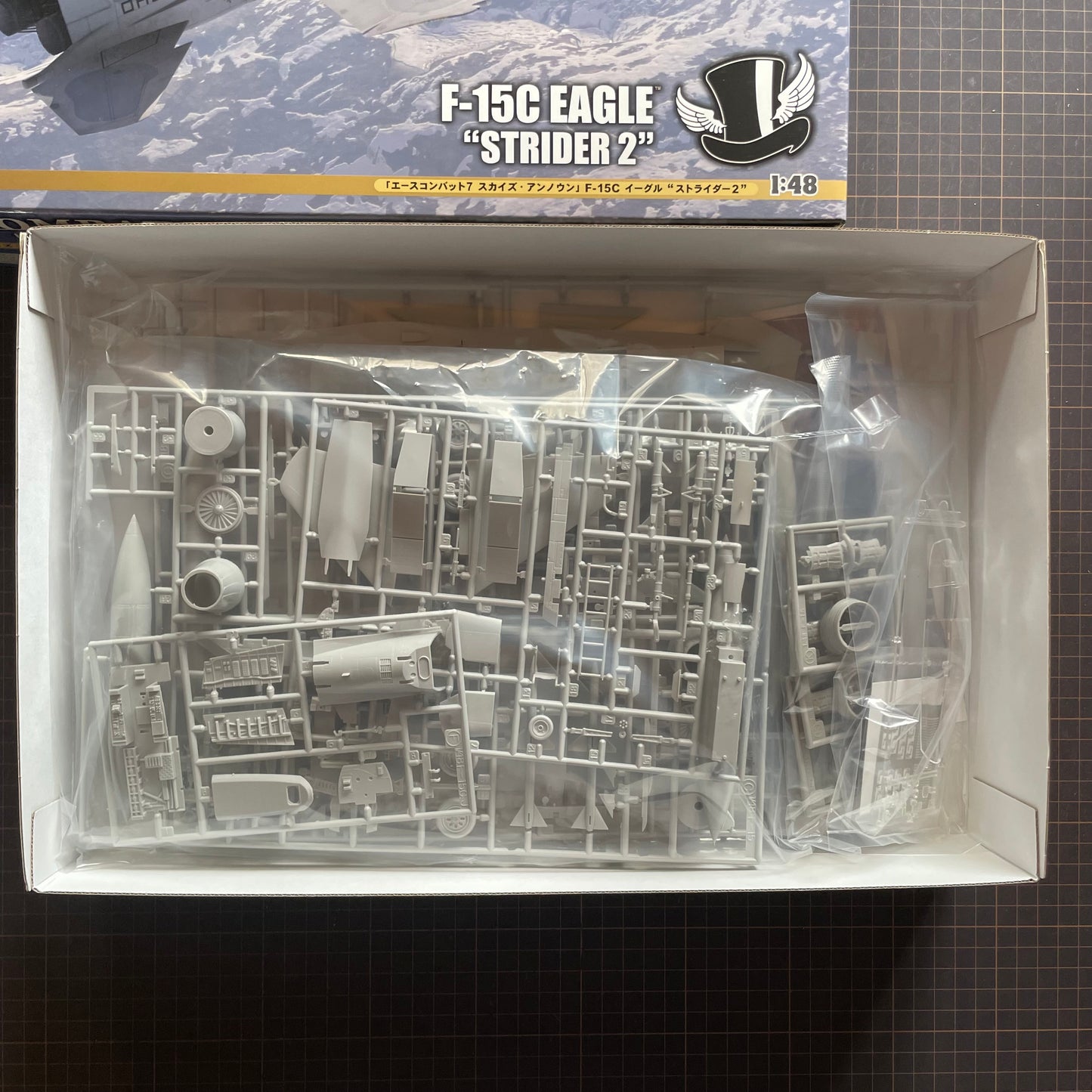 Hasegawa 1/48 ACE COMBAT 7 SKIES UNKNOWN F-15C EAGLE STRIDER 2 Model kit SP566